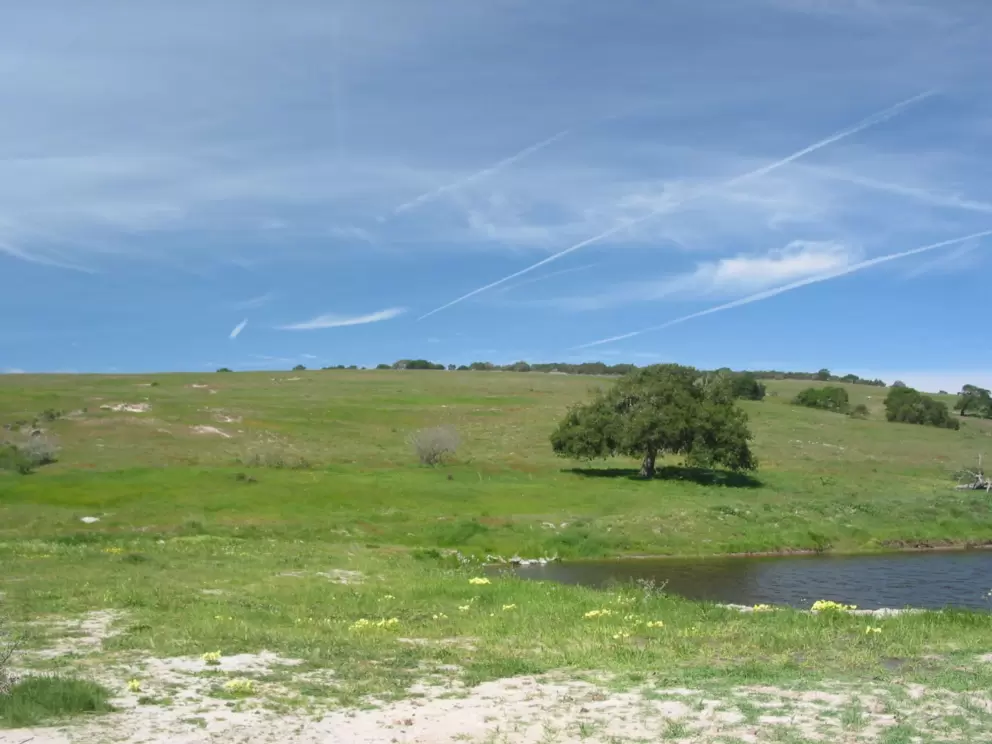 Bucolic view from the trail at Chumash Park.
