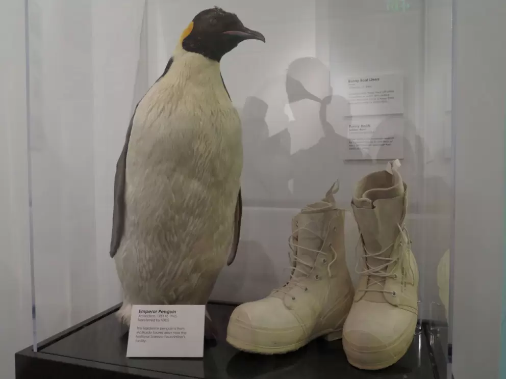 Taxidermy penguin from McMurdo Sound, Antartica. Bunny boots kept the Seabees warm in Antartica with one inch of wool felt insulation.