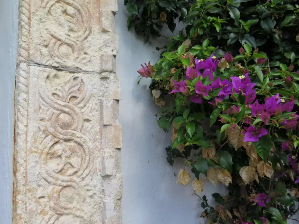 Engraved sandstone and bougainvillea.