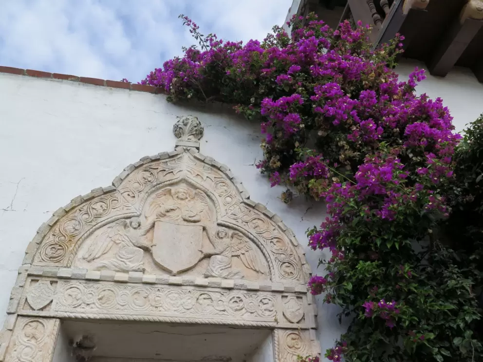 Bougainvillea tumbling over a wall.