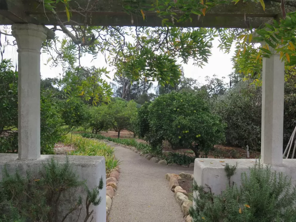Looking toward the orchard from the herb garden.