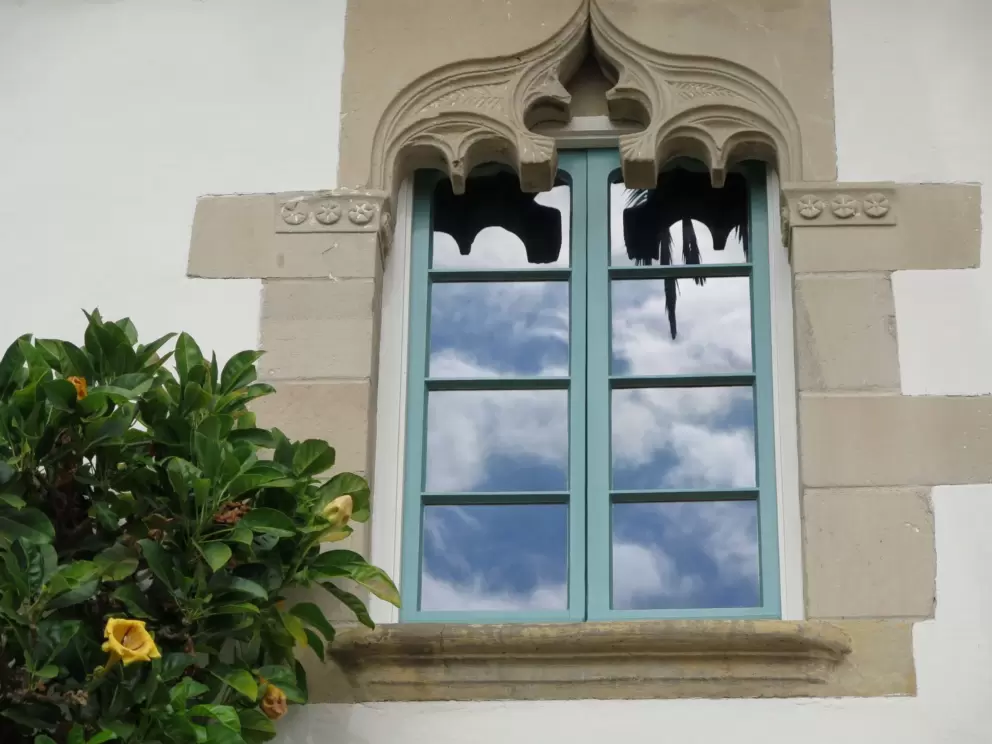 An ornate window and tropical flowers.