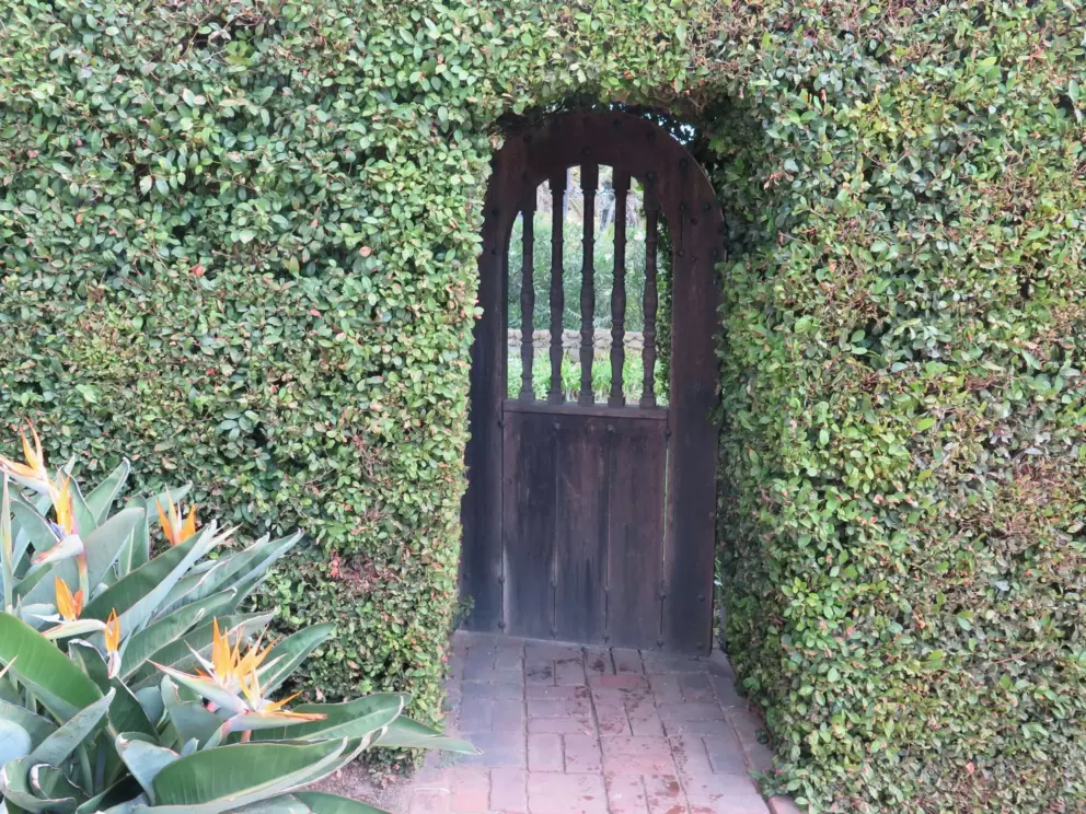Doorway in a hedge.