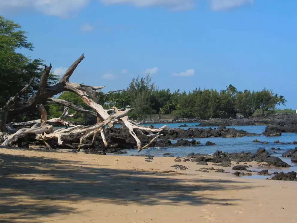 Left side of beach.
