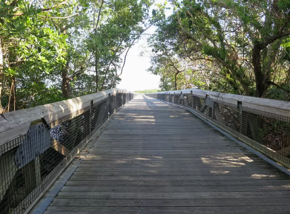 The beginning of the boardwalk. What joy!