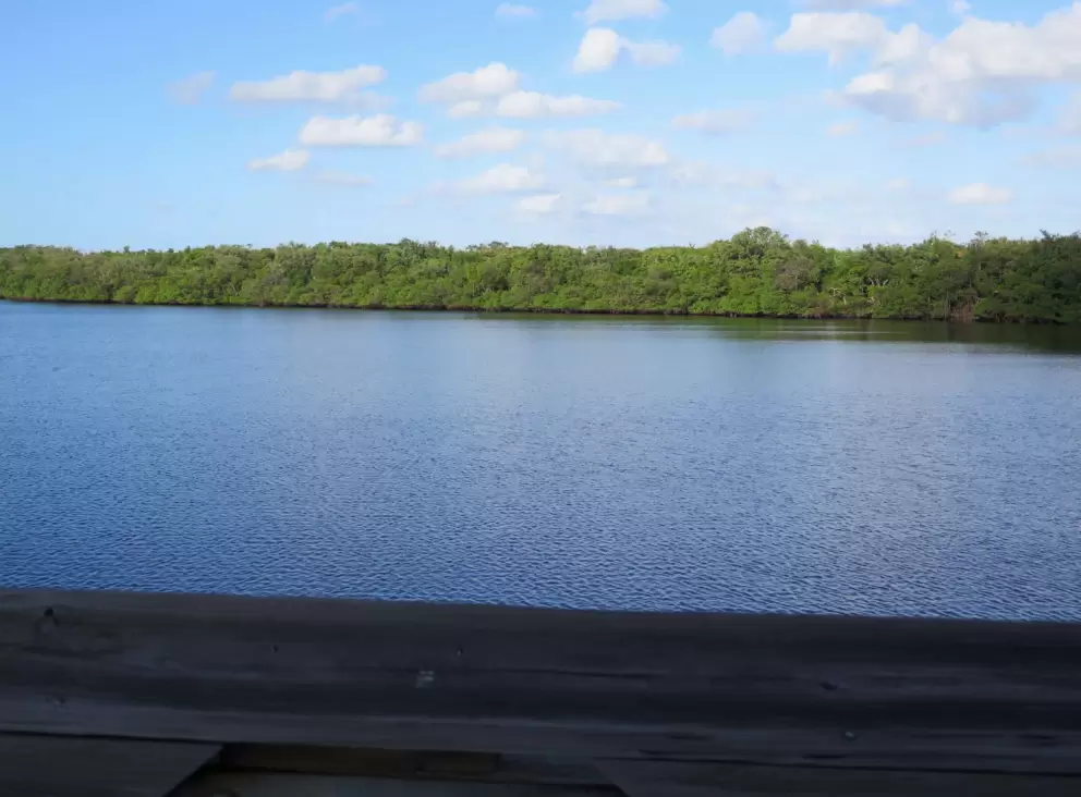 Looking out over the peaceful estuary. There are so many different things to see at John D. MacArthur Beach!