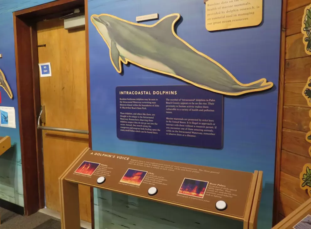 Kids can push buttons to hear different dolphin sounds.