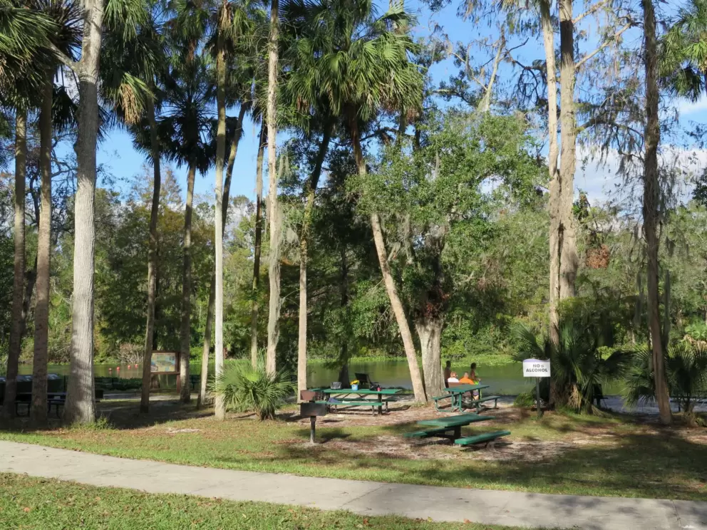 Shady picnic tables.