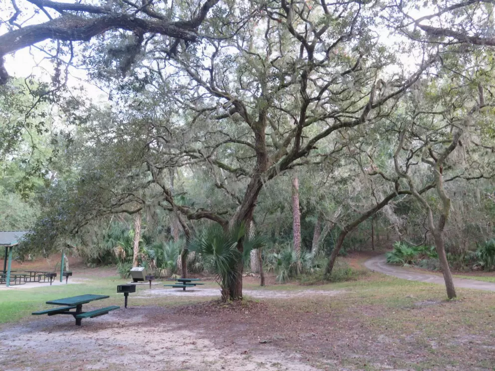 Twisty trees.