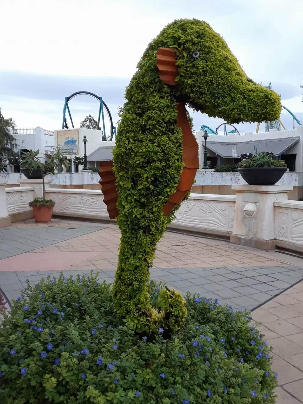 Seahorse topiary.