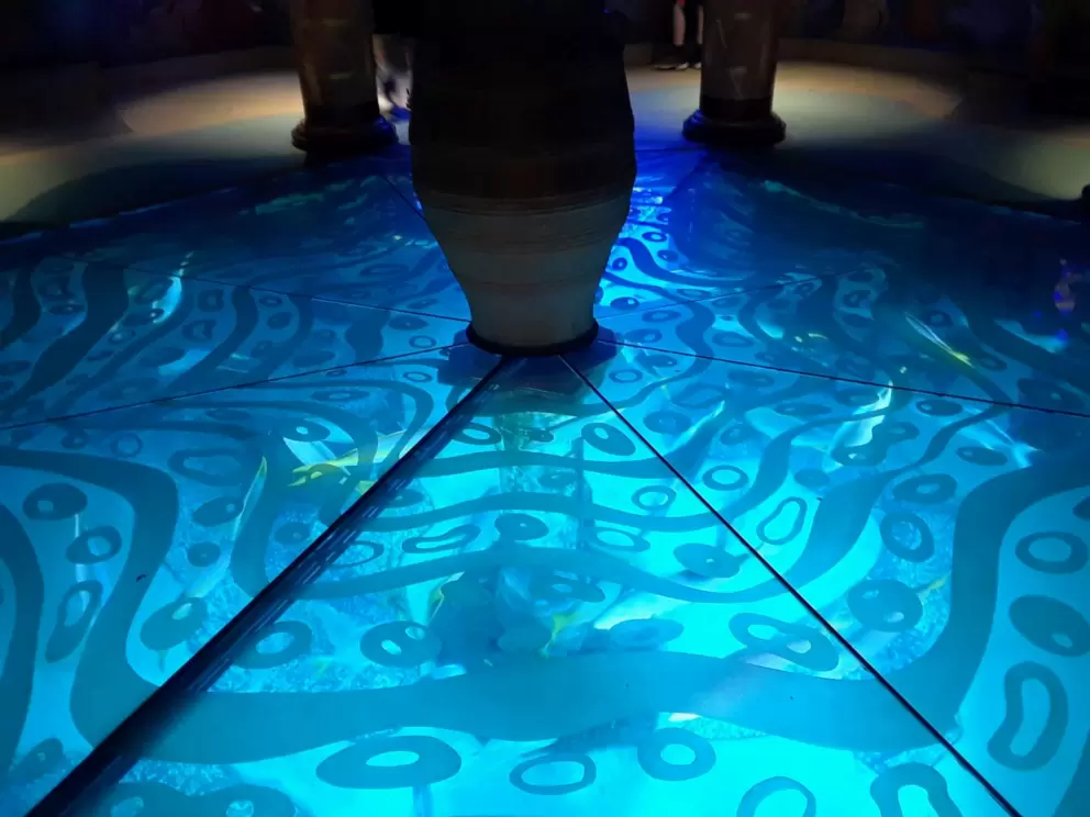 Aquarium under the floor in the gift shop near Journey to Atlantis.