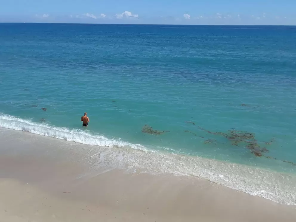 Having a swim in the many hues of blue.