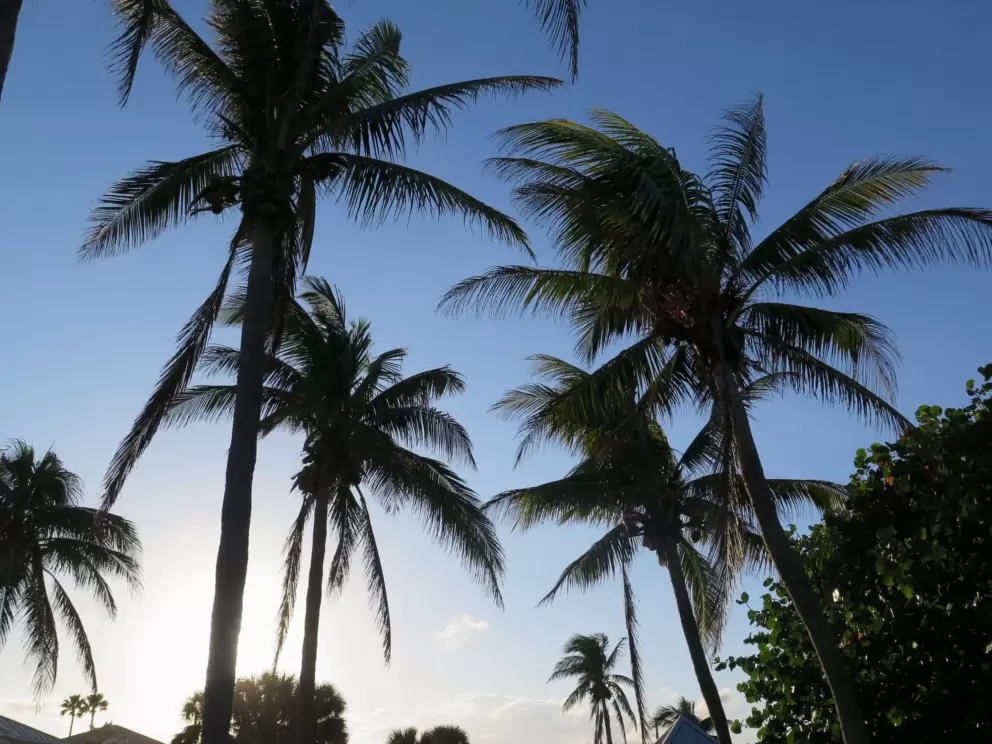 Palms up above welcome you.