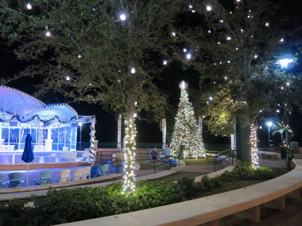 The Christmas lights are magical.