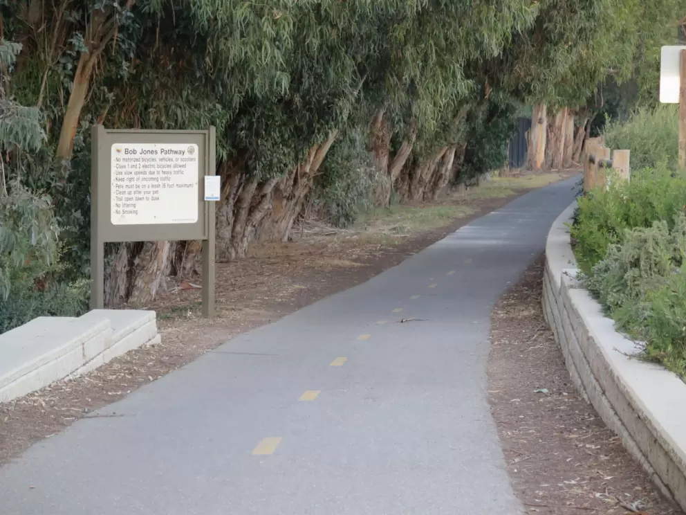 The end of Bob Jones Bike Path, where it reaches Avila Beach and the pirate playground. Eucalyptus galore!