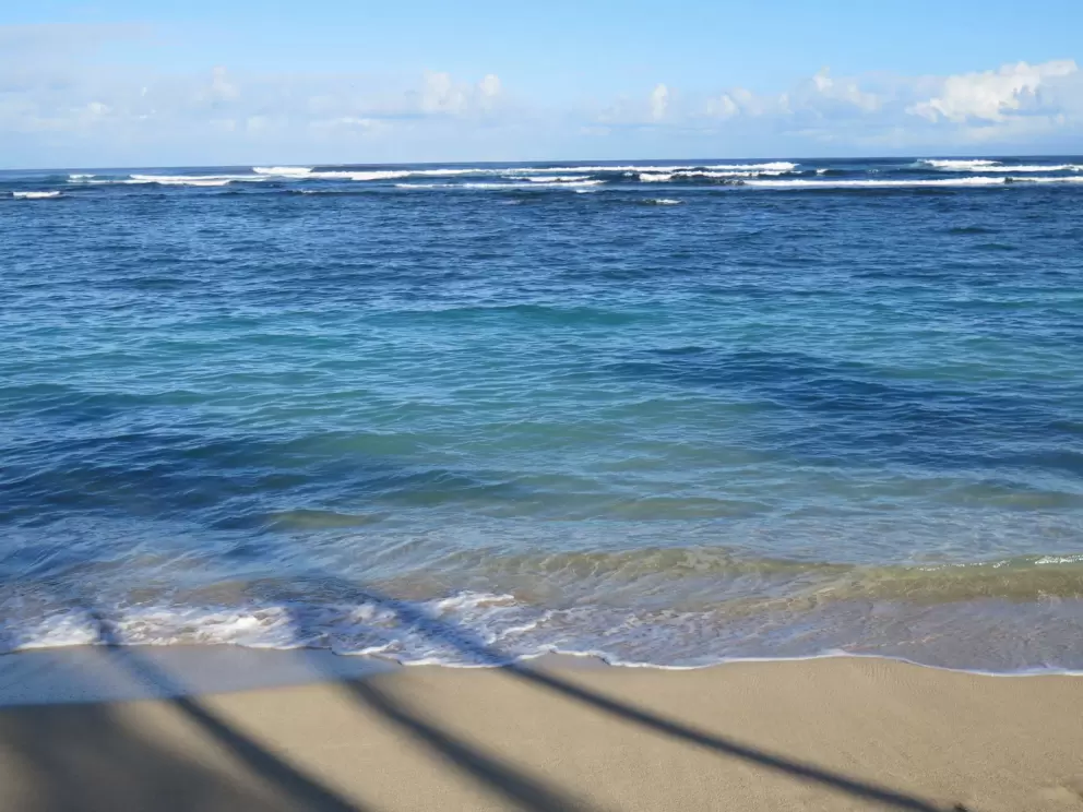 The enticing water, and palm tree shadows.