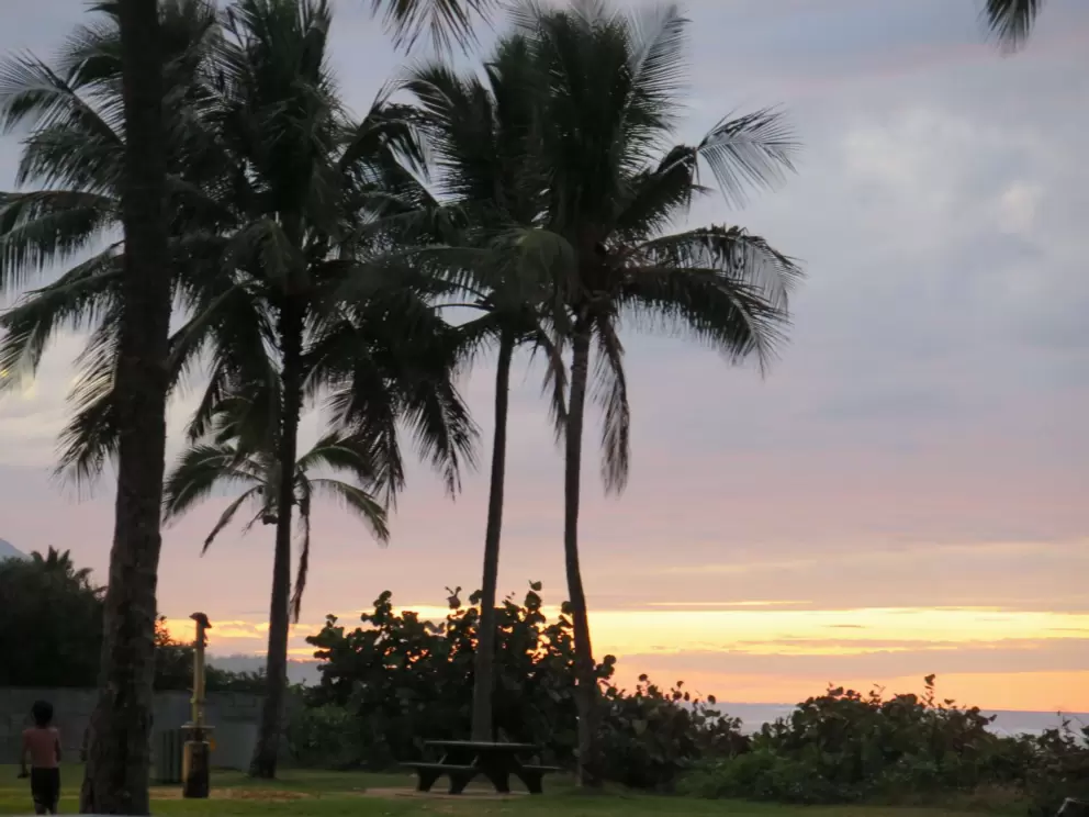 Picnic table looking out on the water.
