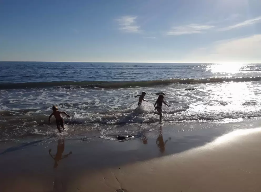 Kids playing at the shore.