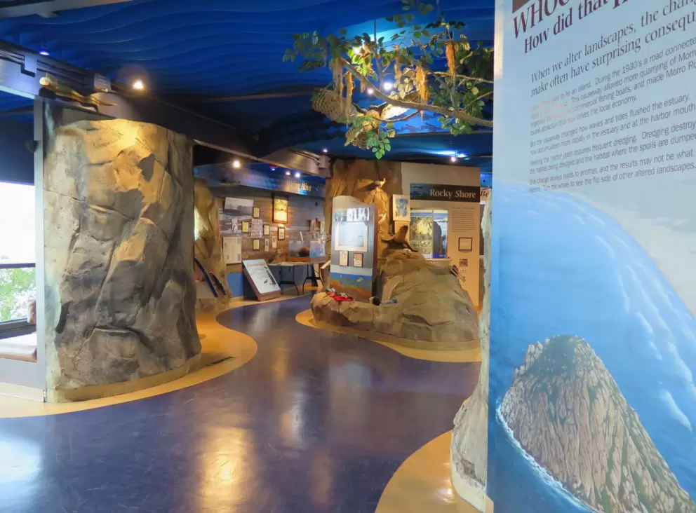 Museum of Natural History, Morro Bay