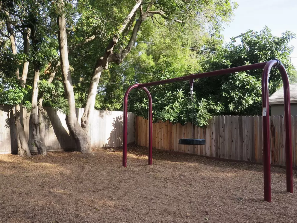 Tire swing.
