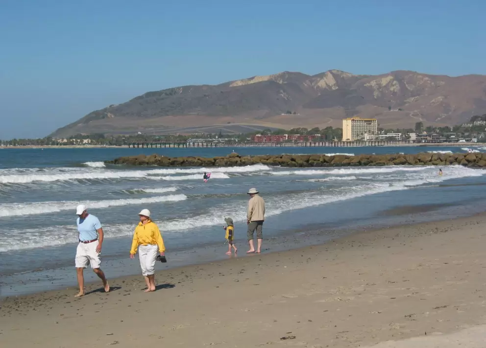 A happy stroll on the beach.
