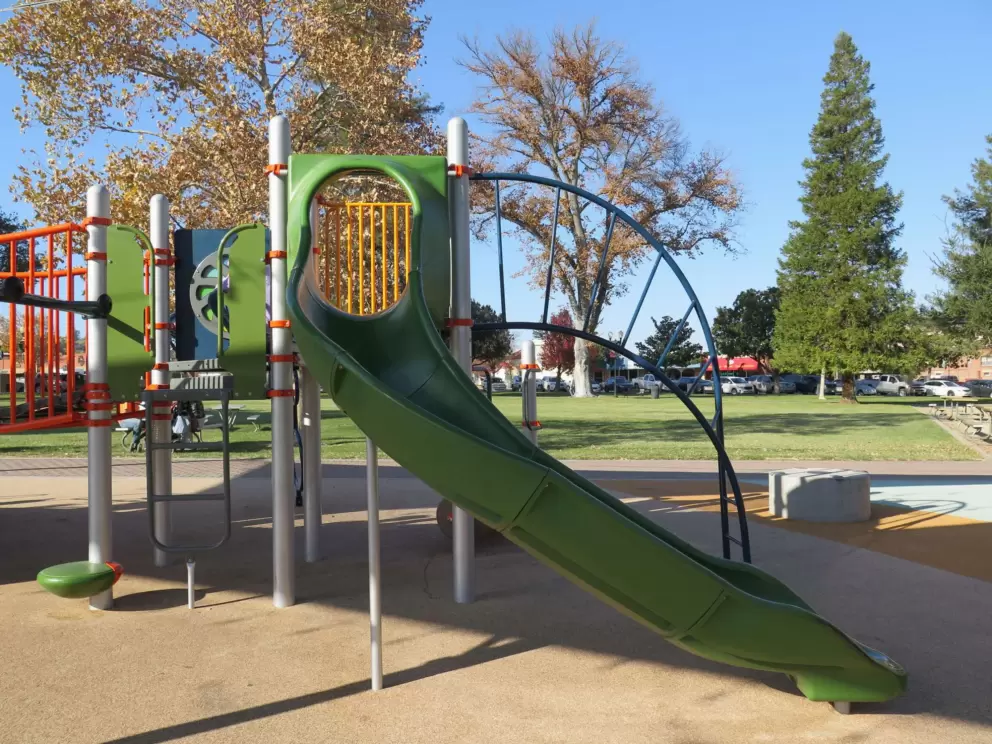 Slide, with pine tree behind.