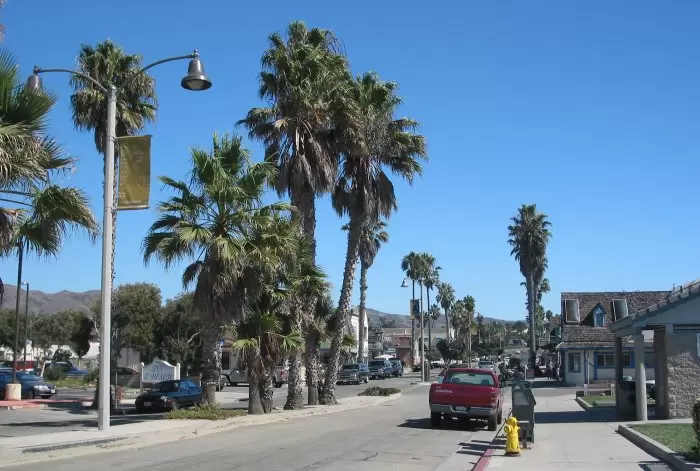 Plenty of palms on Seaward Avenue.