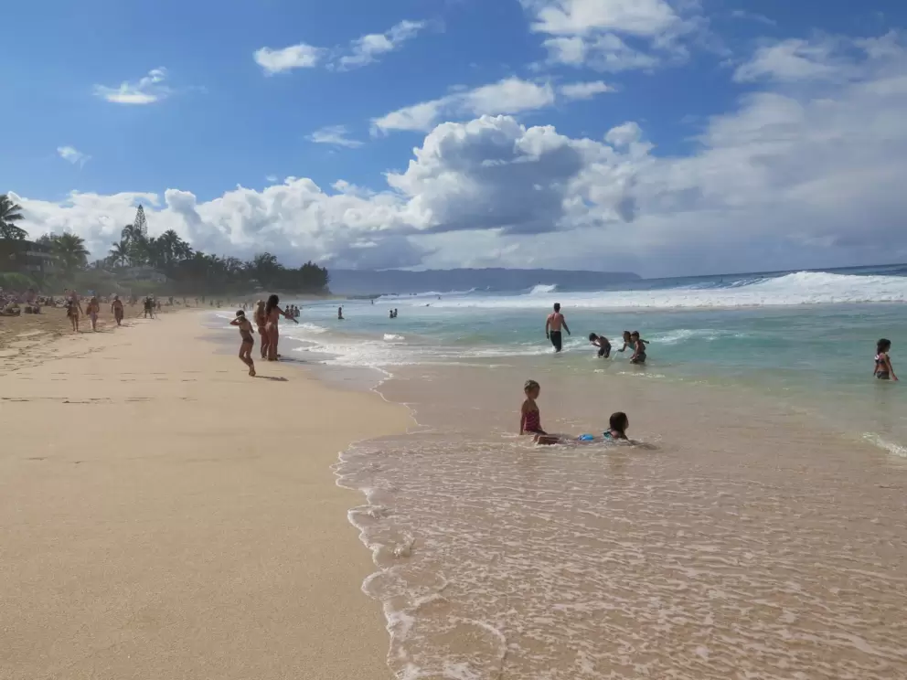 Playing on the shore.