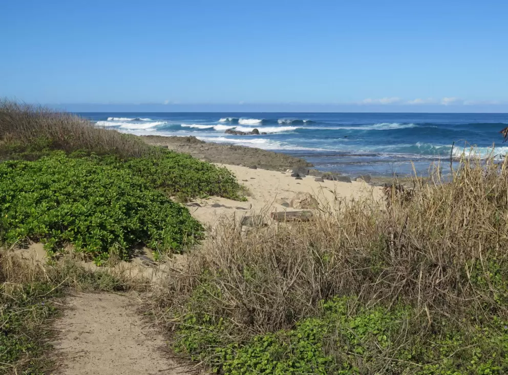 Pretty scene at Ka'ena Point.
