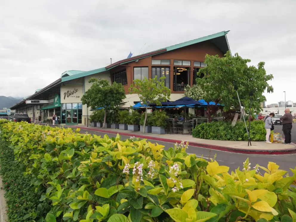 Flowers at Pier 38 Fishing Village.