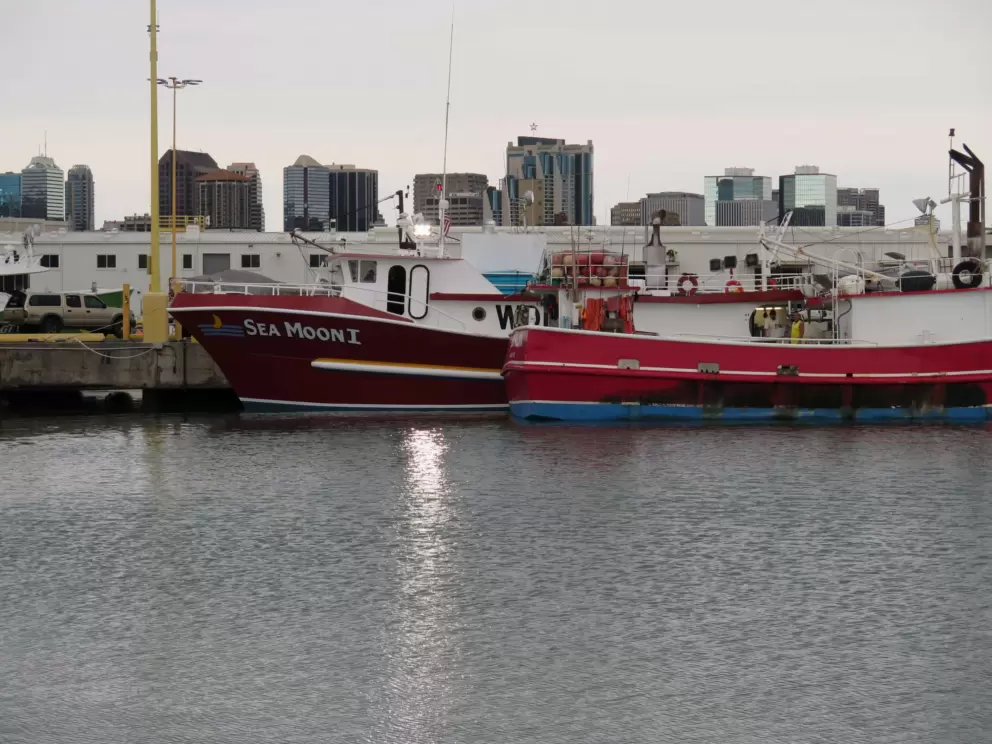 Boats and city skyline.