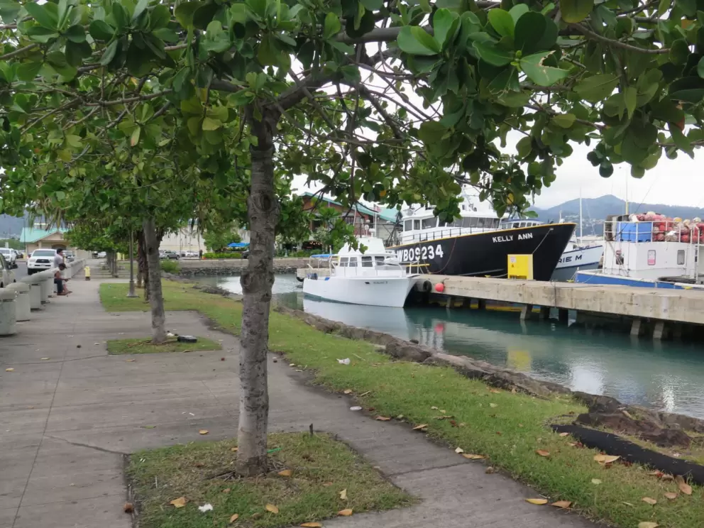 It's nice to walk along by the boats after you eat.