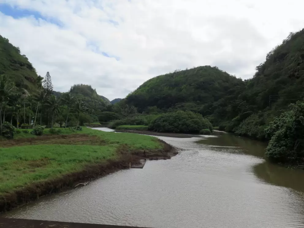 View of Waimea Valley from the road. 