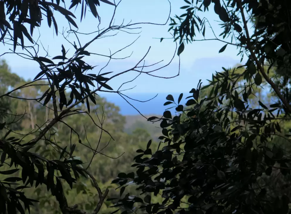 View of the ocean from one of the side trails.