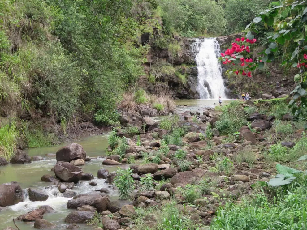 The waterfall and red bougainvillea branch.