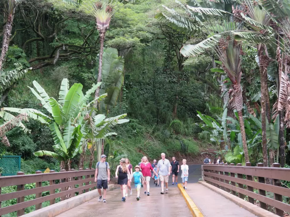 People walking in Waimea Valley.