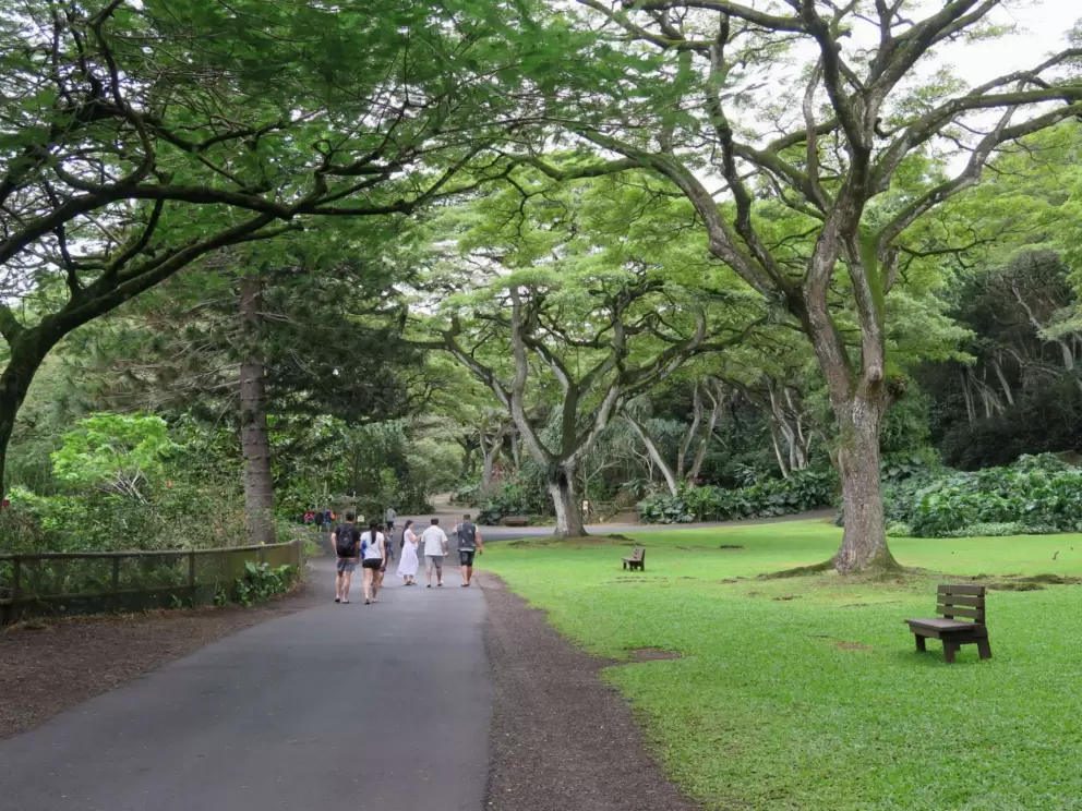 What a lush, beautiful place!