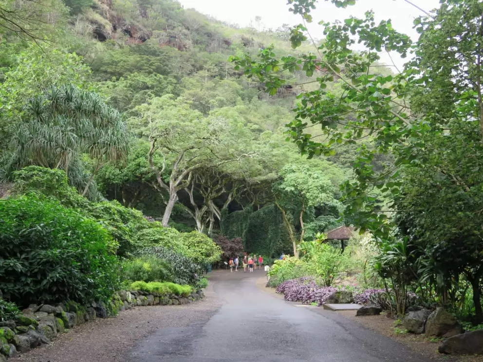 The road leads down to more beauty.