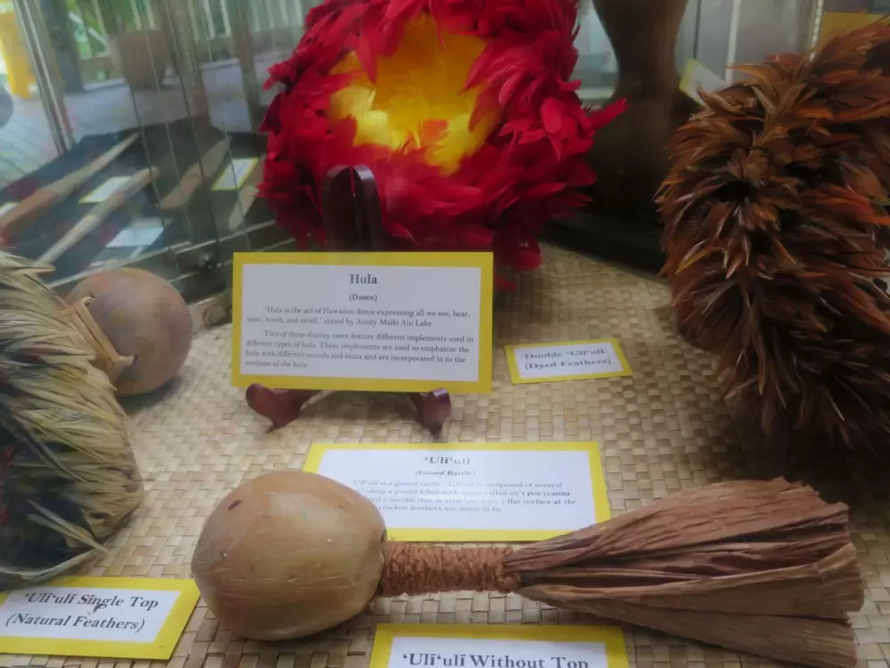 Hula items on display: dyed feathers, gourd rattle.