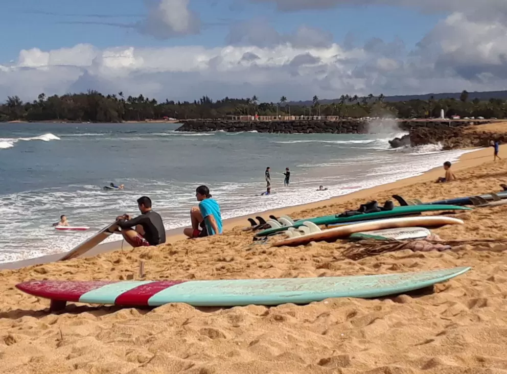Surfboards galore!