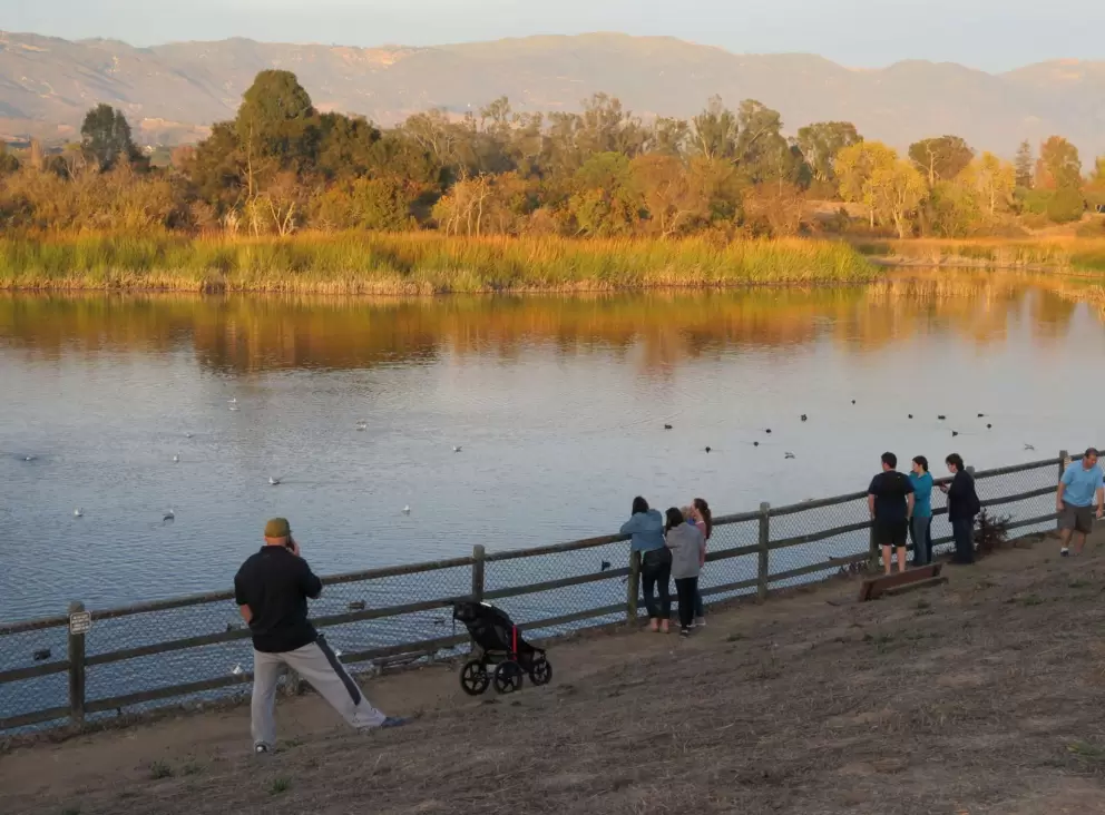 Checking out the ducks.