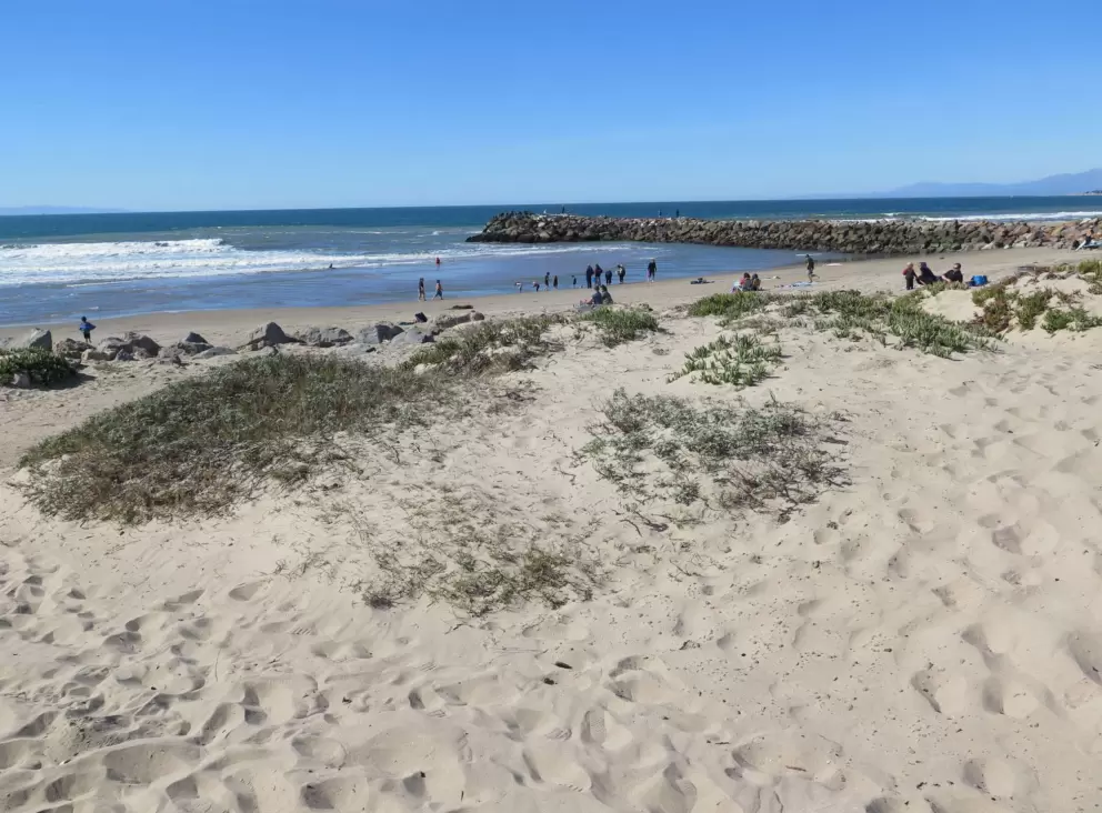 Beach on a sunny day.