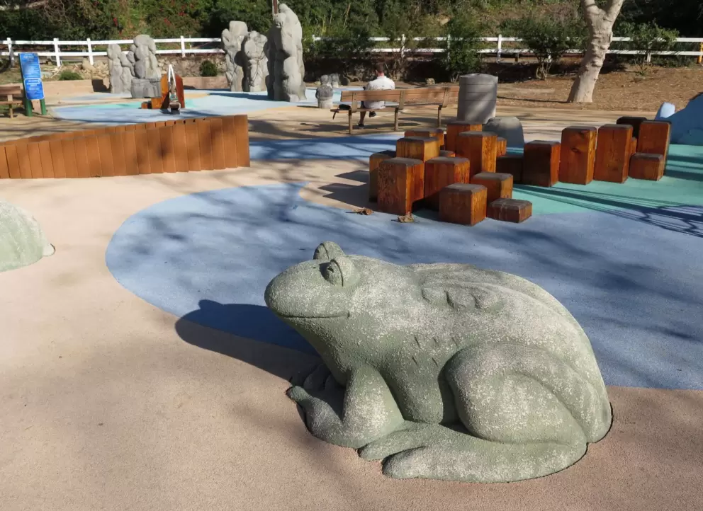 I love this froggie!