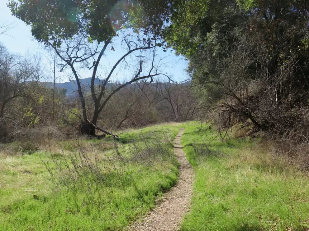 A narrow trail.