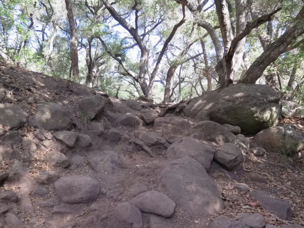 Looking up at boulders and trees.
