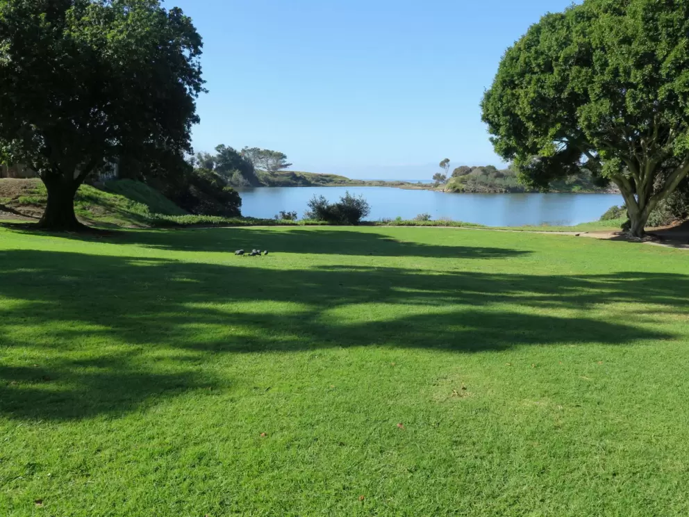 Beautiful lawn on the lagoon by Campus Point Beach. One of my favorite spots on campus!