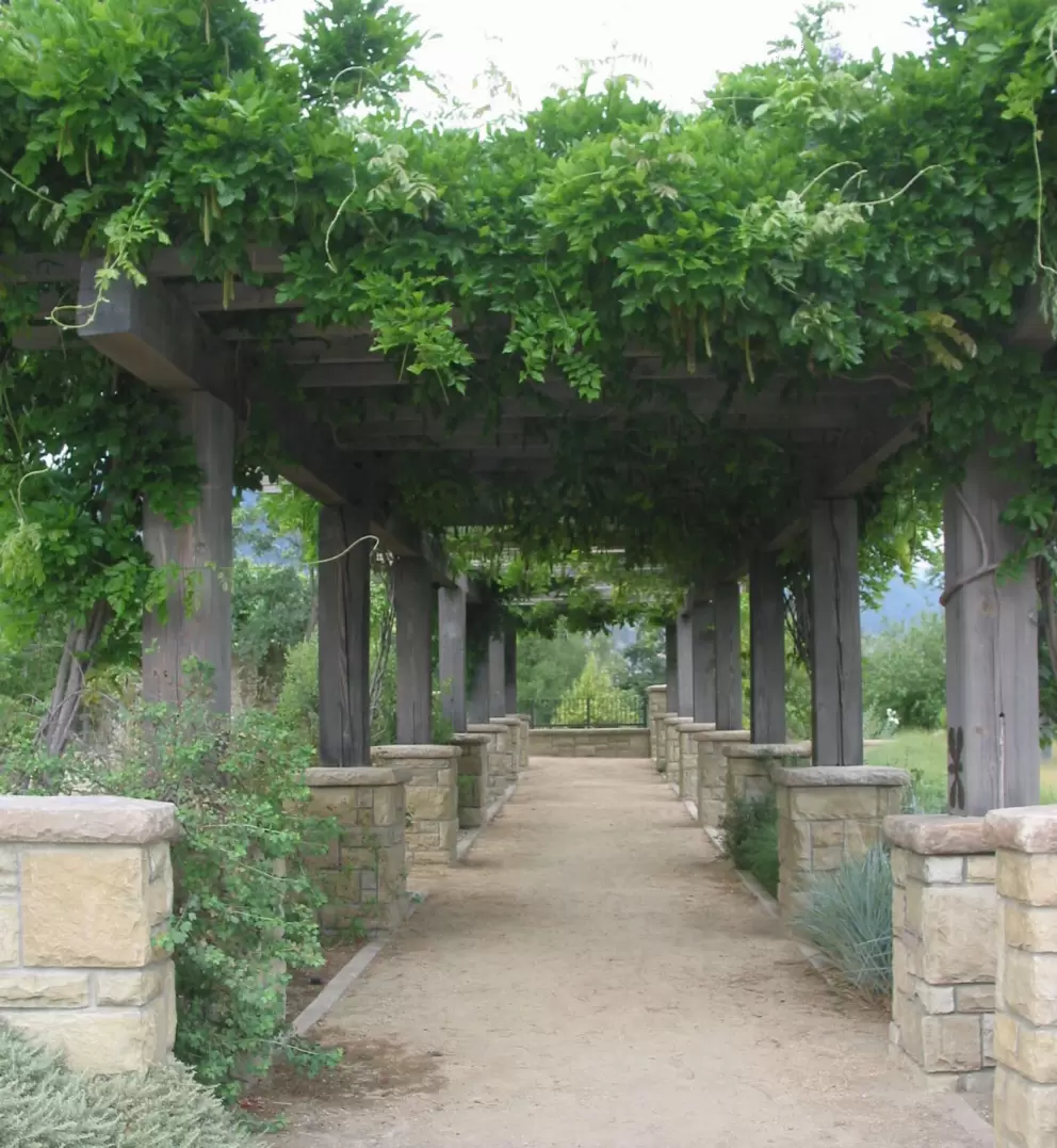 Pretty vines on a pergola shade you as you enter...