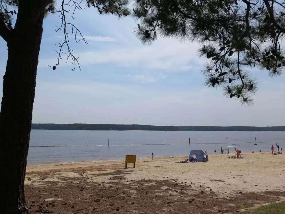 Shady spots on the sand.
