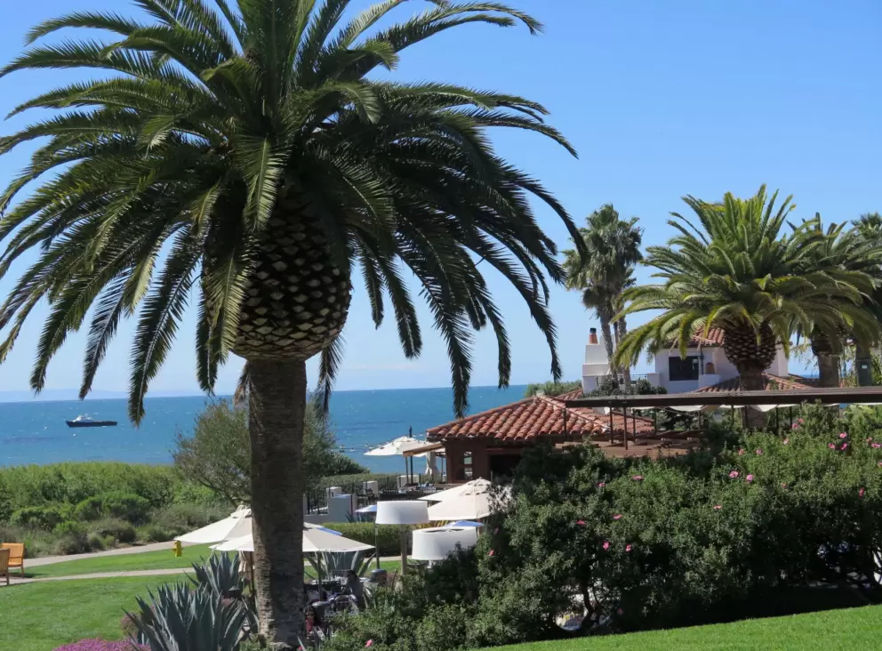 Lawn and ocean.