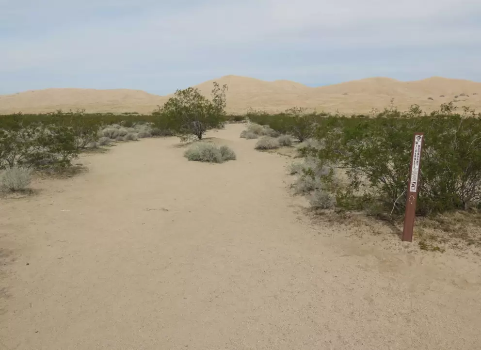 The beginning of the Kelso Dunes trail.